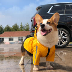 바우독 안전제일 우비 강아지 빛 반사 레인코트 판초