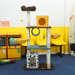 헬로망치 디즈니 토이스토리 대형 캣타워 DSNTSPX