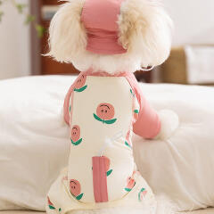 도그웨그 피치바나나 래쉬가드 모자 set 강아지 여름