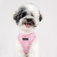 루크 하네스 A (PAWA-HA1965)