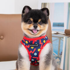 페페 하네스 A (PAWA-HA1961)