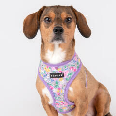 라비앙 하네스 A (PAWA-HA1959)