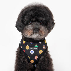 레이디버그 하네스 A (PAWA-HA1957)