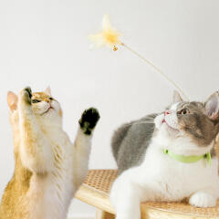 도그웨그 고양이 발목 깃털 낚시대 장난감