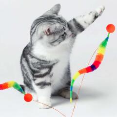 캣냐옹 레인보우 테일 점프볼 3개세트
