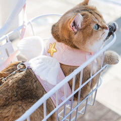 반려동물 천사 하네스+리드줄(XL) (핑크)