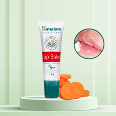 오리지널 비건 립밤 10g