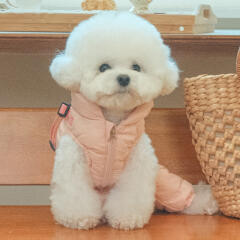 코튼 올인원 점퍼 (PAVD-JP1938)