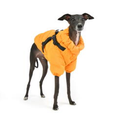 소프트 하네스 점퍼 (PAUD-JM1676)