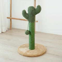 헬로망치 선인장 스크래쳐 TR700