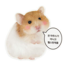 마우스패드 햄스터 