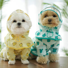 개굴꽉 올인원 우비 모자 세트