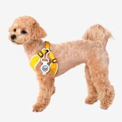 래핑찰리 이지세이프클립 3입 세트