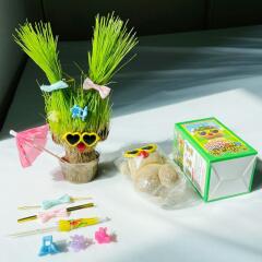 잔디인형 키우기 잔디 만들기 키트 세트 반려 식물