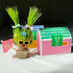 잔디인형 키우기 잔디 만들기 키트 세트 반려 식물