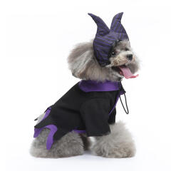도그웨그 마녀 코스튬 옷 머리띠 세트 강아지 의상