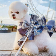 반려동물 원피스 하네스+리드줄(M) (블루)