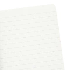 토마토체크 스프링노트 