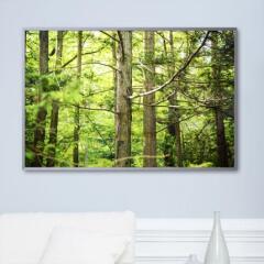 ix683-초록빛숲_중형메탈액자