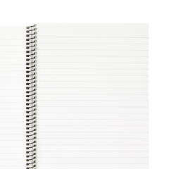 블랙베어 스프링노트 