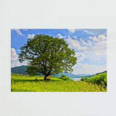 pj717-아크릴액자_느티나무아래휴식(대형)