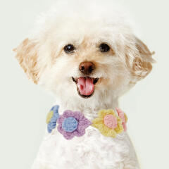 PET케이프 플라워 