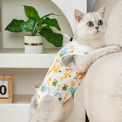 도그웨그 철벽 프렌즈 고양이 중성화복