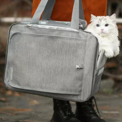 [파밀리아] Trendy 3in 1펫 백팩 캐리백