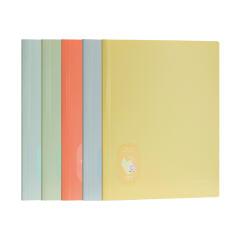 델리 소프트 클리어 파일 A4 30매 (색상랜덤)