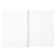 블루베어 스프링노트 