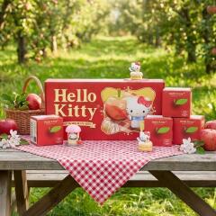 헬로키티 빅애플 피크닉 피규어 1box(8개입)