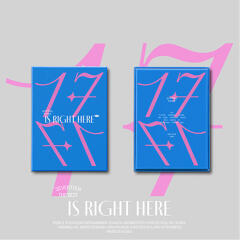 세븐틴 - SEVENTEEN BEST ALBUM '17 IS RIGHT HERE' DEAR Ver.[2CD]