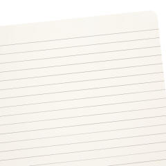 클로버토끼 스프링노트 