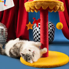 캣냐옹 서커스 회전목마 스크래쳐