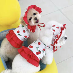 체리 프릴 수영복+모자 set 강아지 수영
