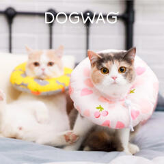 고양이 쿠션 넥카라 천 깔대기