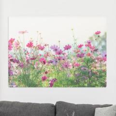 fh323-사각그림액자_퓨어코스모스