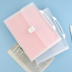 핑크풋 반투명 도큐먼트 파일