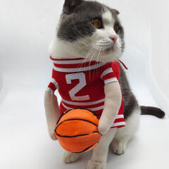 도그웨그 슬램덩크 농구 코스튬 강아지 할로윈 의상