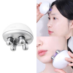 리르 EMS 360 웨이브 페이스 마사지기