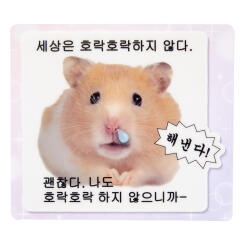 마우스패드 해낸다햄스터 