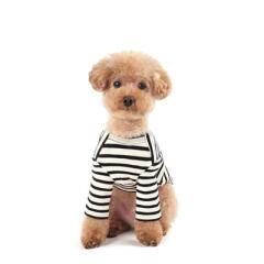 스트라이프 티셔츠 (화이트)