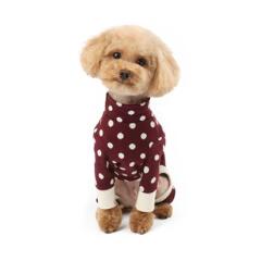 땡땡이 올인원 _Wine