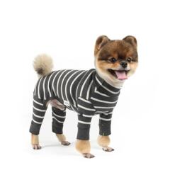 단가라 올인원 _Chacoal&Ivory