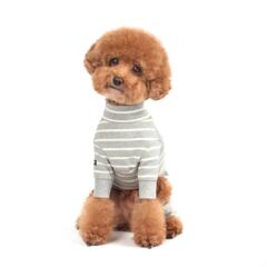 단가라 올인원 _Gray&Ivory