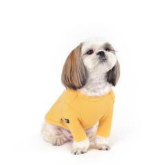 알파벳 티셔츠 _Yellow