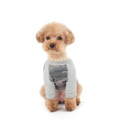 밀리터리 티셔츠 _Gray