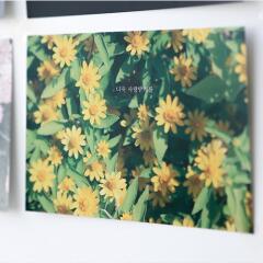 감성사진엽서_더욱 사랑받기를