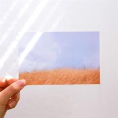 제주사진엽서_너는 특별해