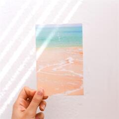 제주사진엽서_너는 맑아